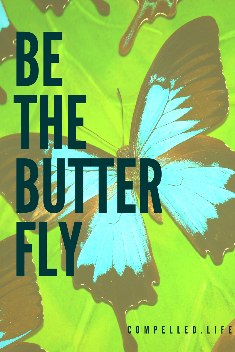 Be The Butterfly